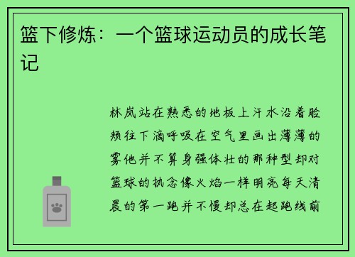 篮下修炼：一个篮球运动员的成长笔记