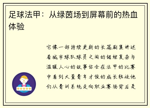 足球法甲：从绿茵场到屏幕前的热血体验