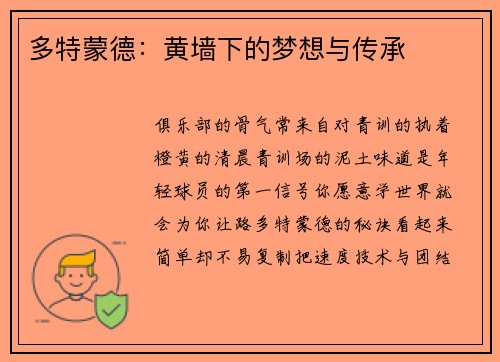 多特蒙德：黄墙下的梦想与传承